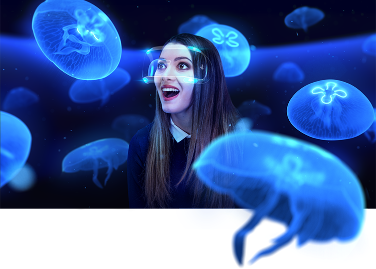 Realidad Virtual bajo el mar medusas